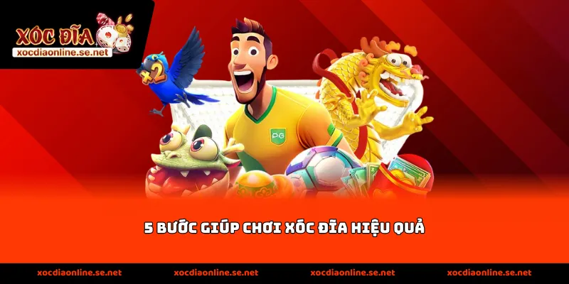 5 Bước Giúp Chơi Xóc Đĩa Hiệu Quả